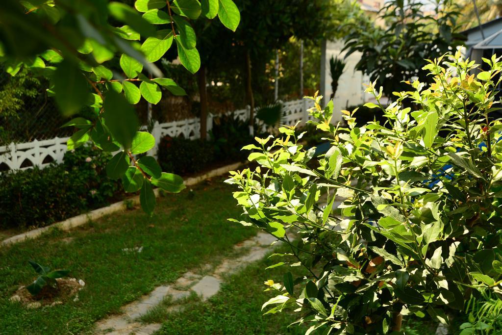 אלאניה Pinar Hotel מראה חיצוני תמונה