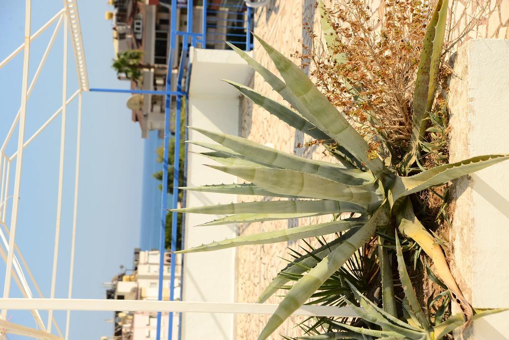 אלאניה Pinar Hotel מראה חיצוני תמונה